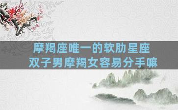 摩羯座唯一的软肋星座 双子男摩羯女容易分手嘛